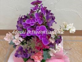 orchid１